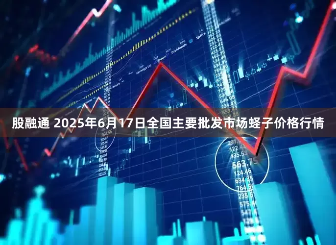 股融通 2025年6月17日全国主要批发市场蛏子价格行情