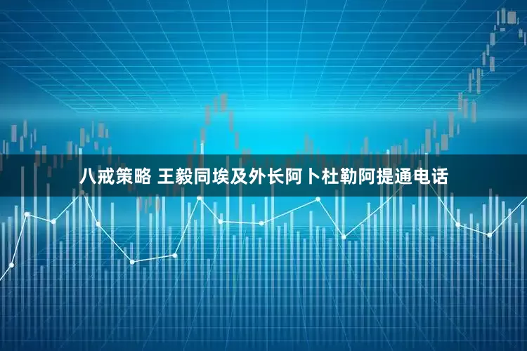 八戒策略 王毅同埃及外长阿卜杜勒阿提通电话